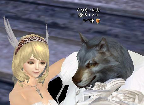 6afaf02f.jpg