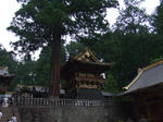 DSCF0941.JPG