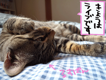 DSCN1606.gif