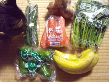 DSCN4764.gif