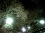 雪景色