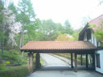 PAP_0384.JPG