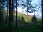 PAP_0268.JPG