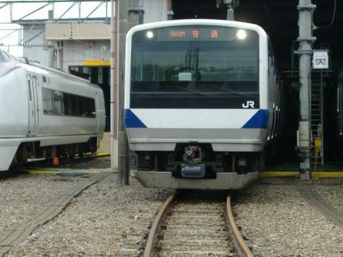 22f8c49a.JPG