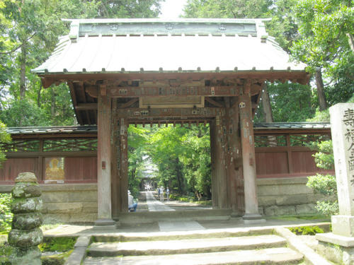 mixi-IMG_0799.jpg