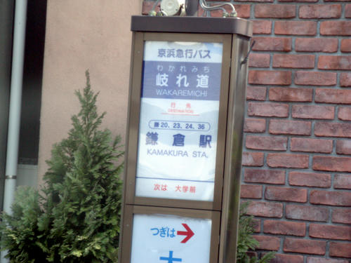 mixi-IMG_0867.jpg