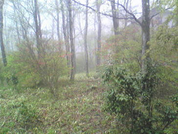 080505-2.jpg