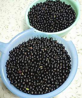 091011-2.jpg