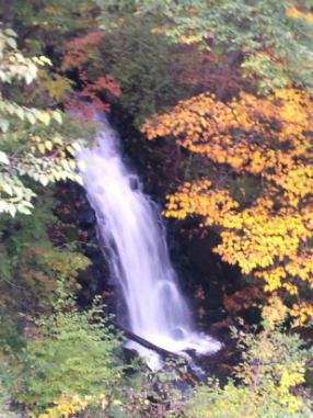 091026-2.jpg