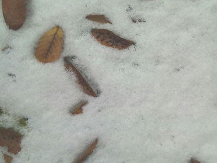 091103.jpg