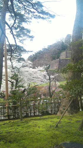 120415_135627.jpg