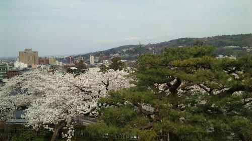 120415_125149.jpg