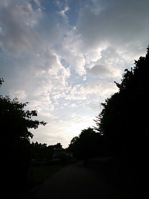 707328720512.jpg