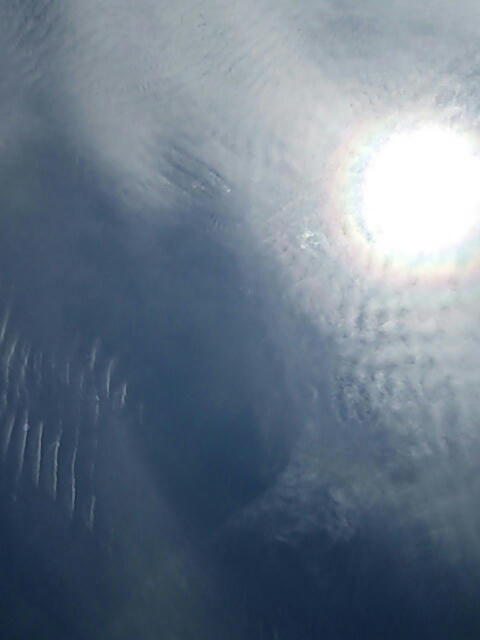 745830260707.jpg