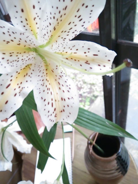 20130804.JPG
