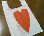 eco bag
