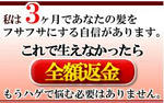 ハゲからの生還育毛・発毛大作戦 全額返金保証