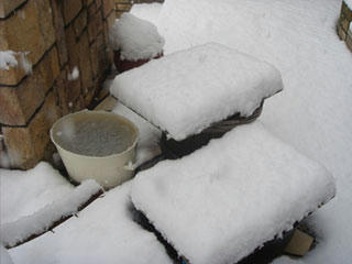 n53.jpg