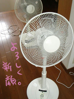 n83.jpg
