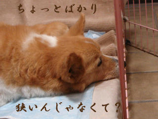 g122.jpg