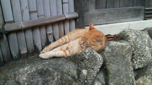 P1000178.JPG