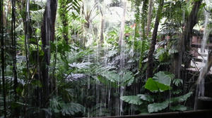 植物園1
