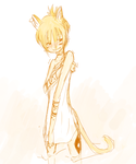 rk-s.png