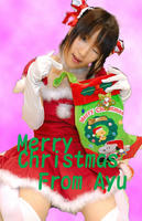 2008merry.jpg