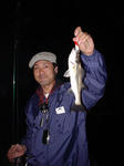 seabass3.jpg