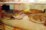 09_1_7_07.jpg