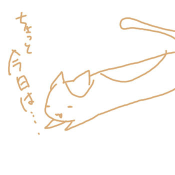 20100906.jpg