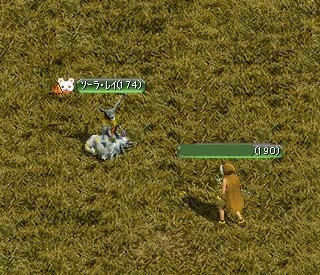 806271df.jpg