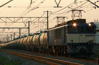 P1050290.JPG