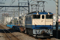 DSC_0033.JPG