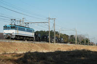 DSC_0093.JPG