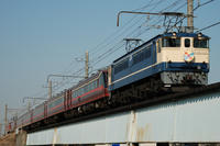 6d7ab681.JPG