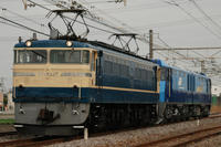 DSC_0182.JPG