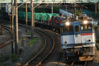 DSC_0813.JPG