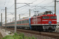 DSC_0810.JPG