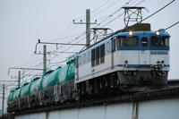 DSC_0907.JPG
