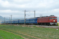 DSC_2476.JPG