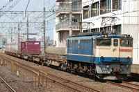 DSC_4387.JPG
