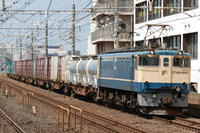 DSC_4388.JPG
