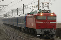 DSC_5611.JPG