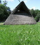 070722nejibana.jpg