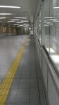 070831chikadou.jpg
