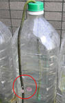 071013zassou.jpg