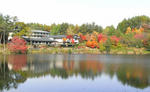 071030ryujinike.jpg