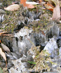 071123shimobashira.jpg