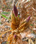 071201kikyou.jpg